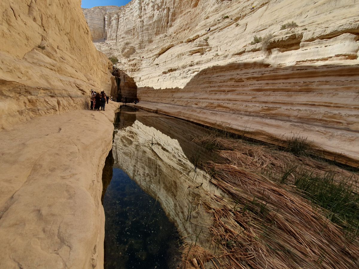 Ein Avdat canyon in the Negev