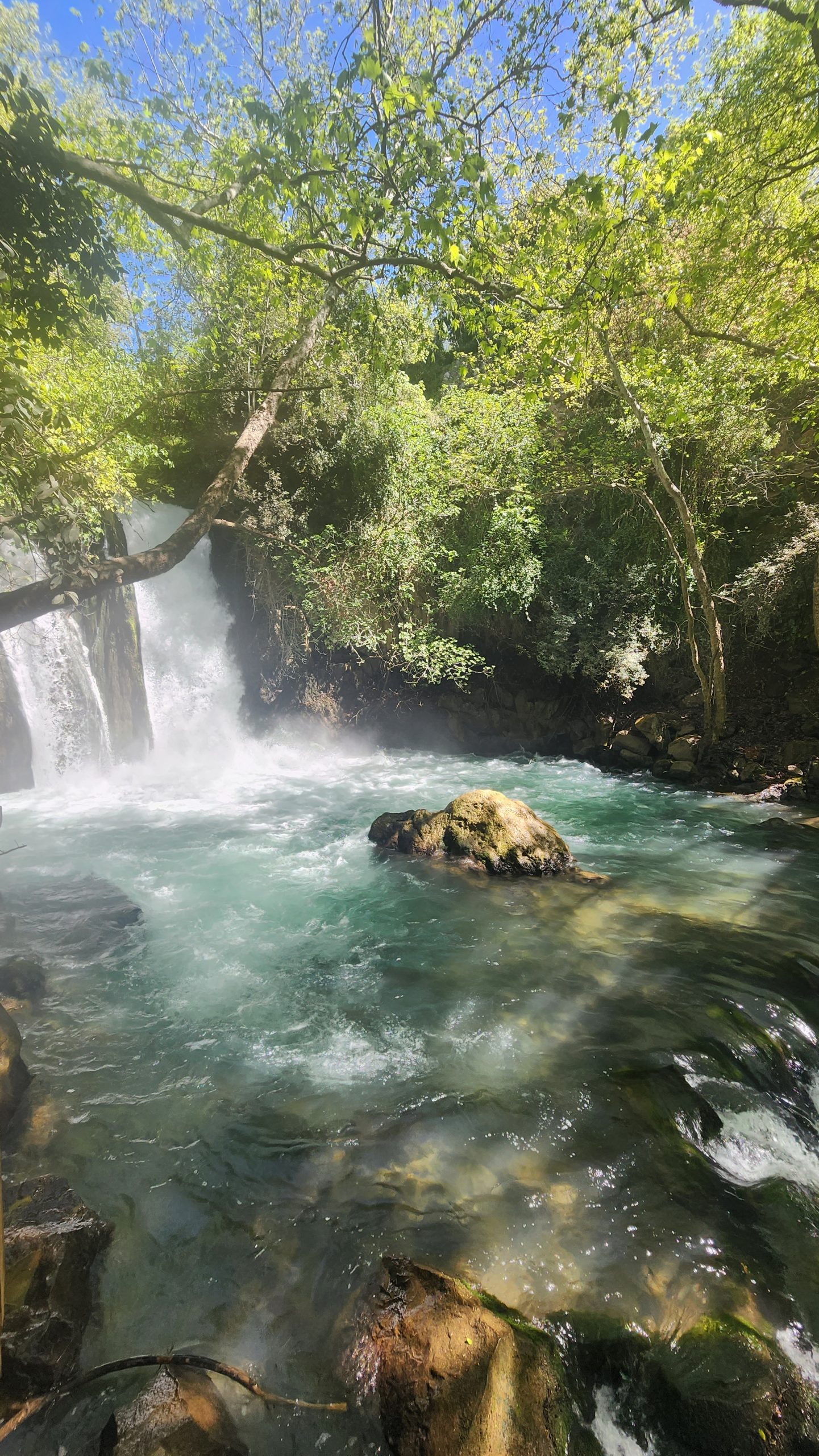 Banias waterfall