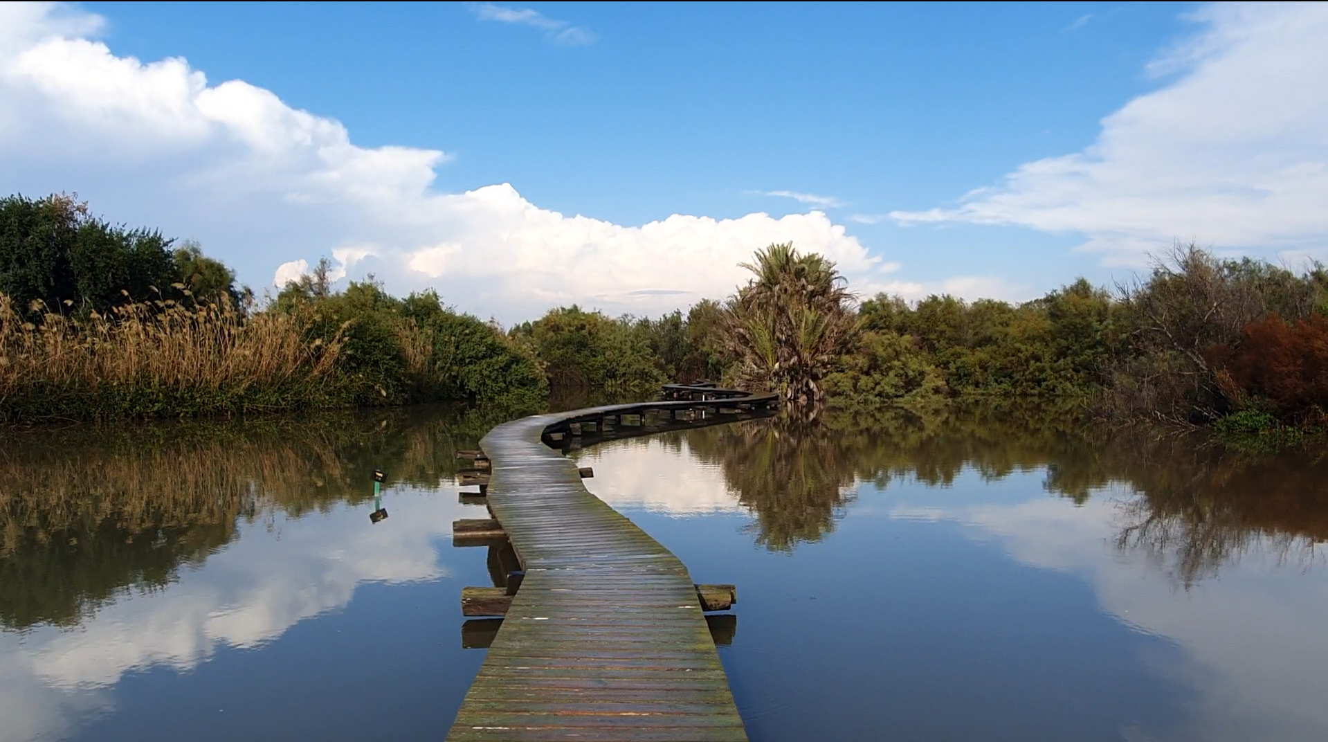 Ein Afek Nature Reserve, wooden boardwalk over water