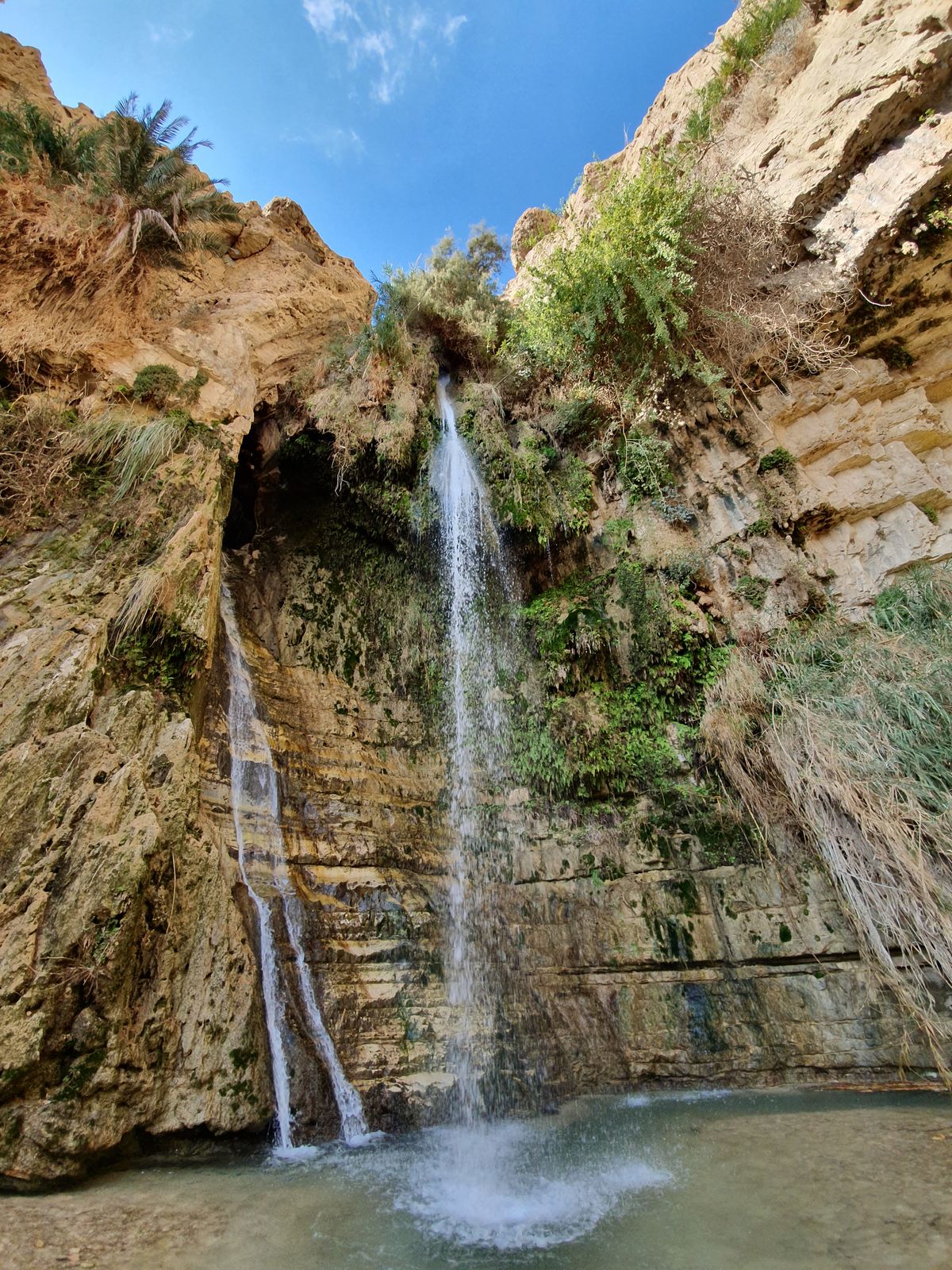 Ein Gedi nature reserve waterfall and oasis