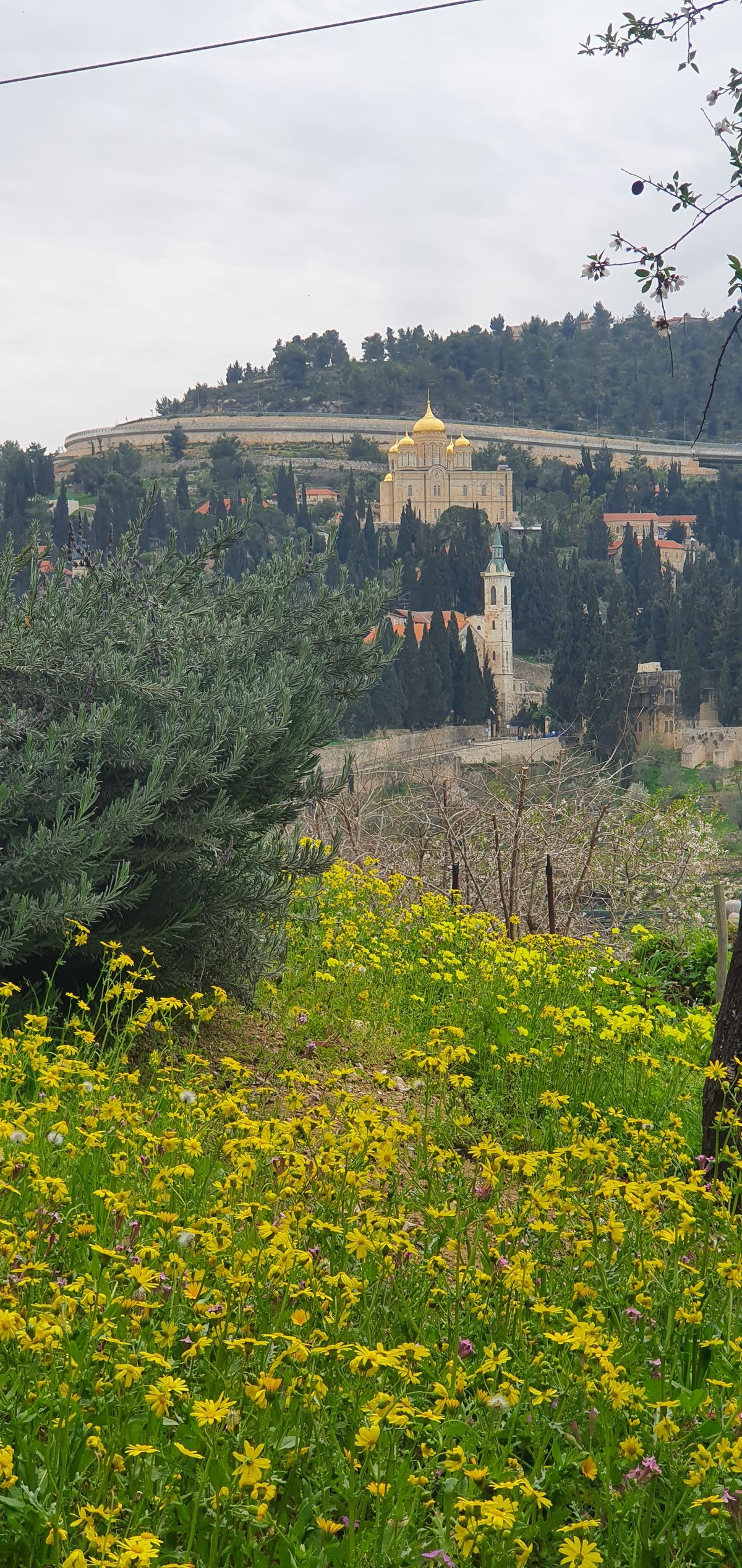 The village of Ein Karem in the Jerusalem hills