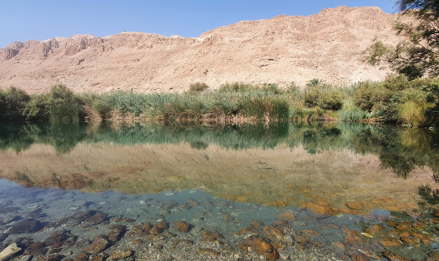 Ein Prat springs in Wadi Qelt