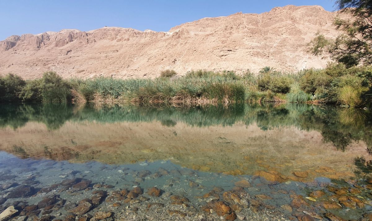 Einot Tsukim - freshwater springs near the Dead Sea