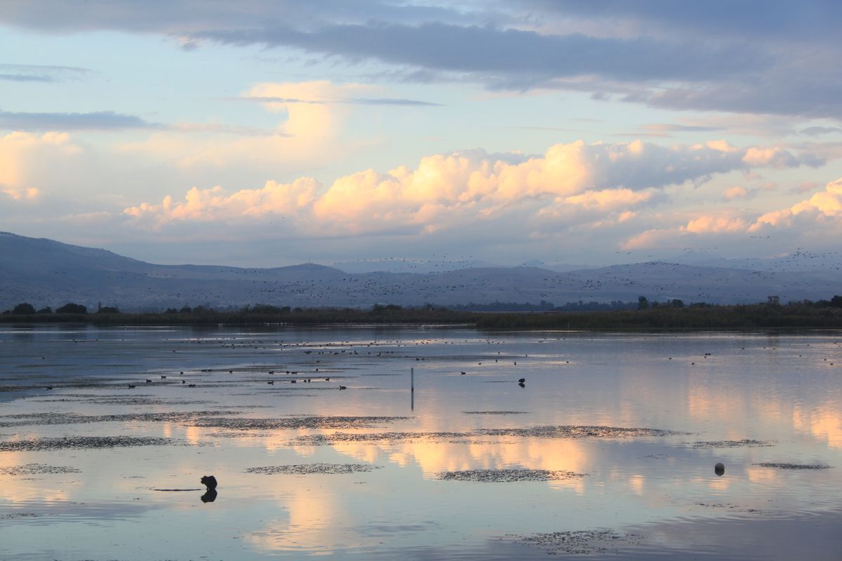 The Hula Valley, Israel