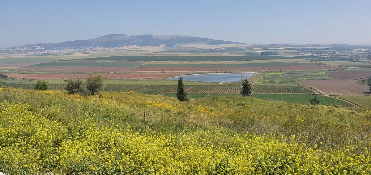 The Jezreel Valley, Israel