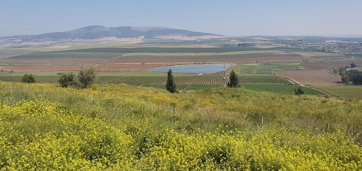 The Jezreel Valley, Israel