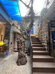 Kabbalah in Safed, Israel
