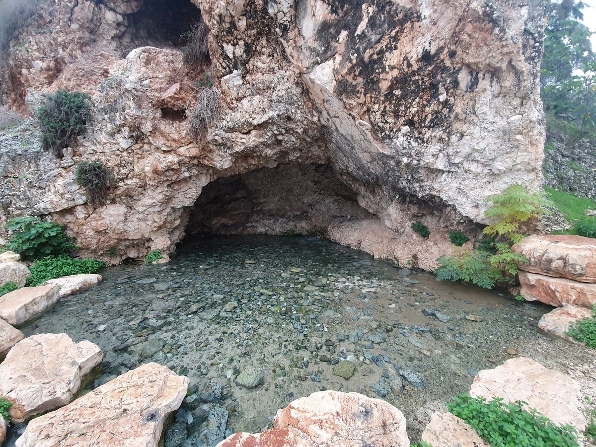 Ma'ayan Harod spring, Jezreel Valley, Israel