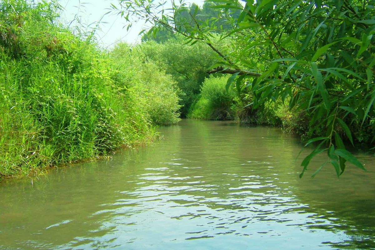 Majrase Nature Reserve, Sea of Galilee, Israel