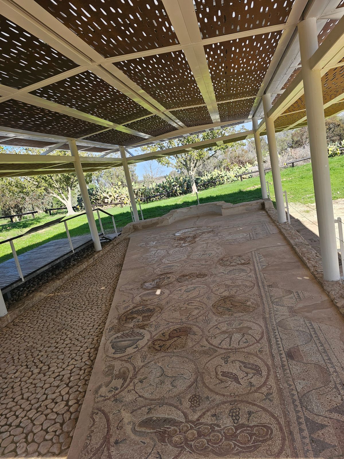 The vine scroll mosaic with animals at the ancient synagogue at Maon