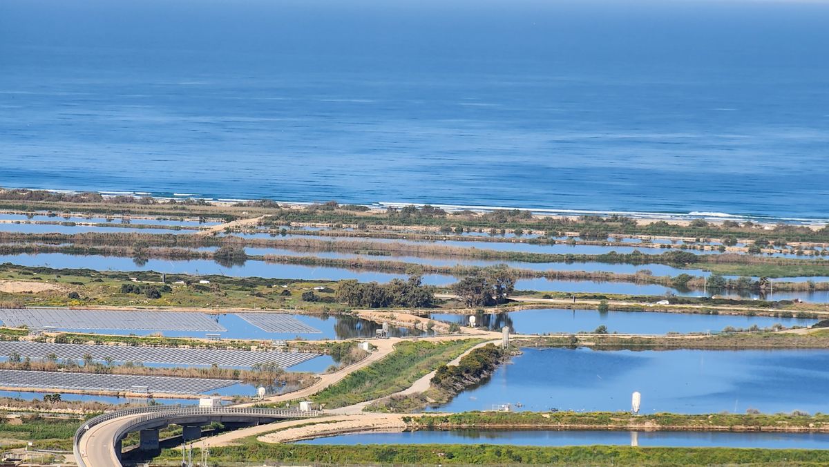 Mediterranean Coast of Israel