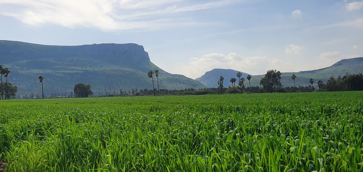 Mount Arbel