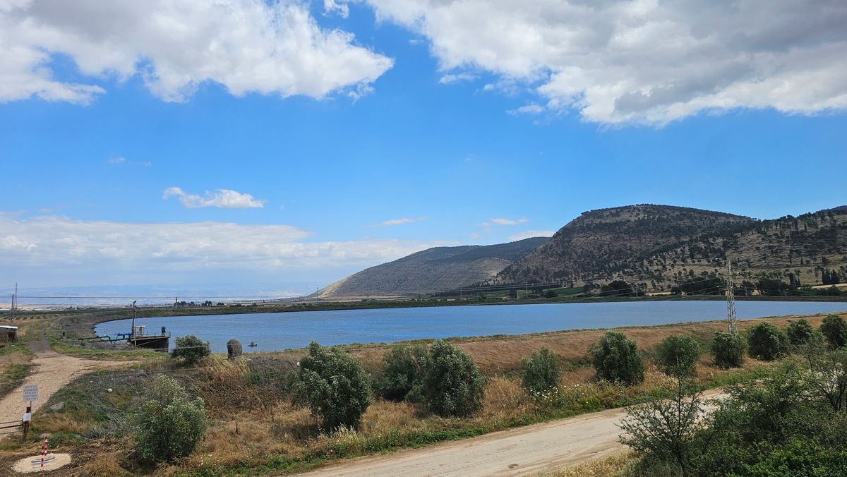 Mount Gilboa ridge and wildflowers, Jezreel Valley, Israel