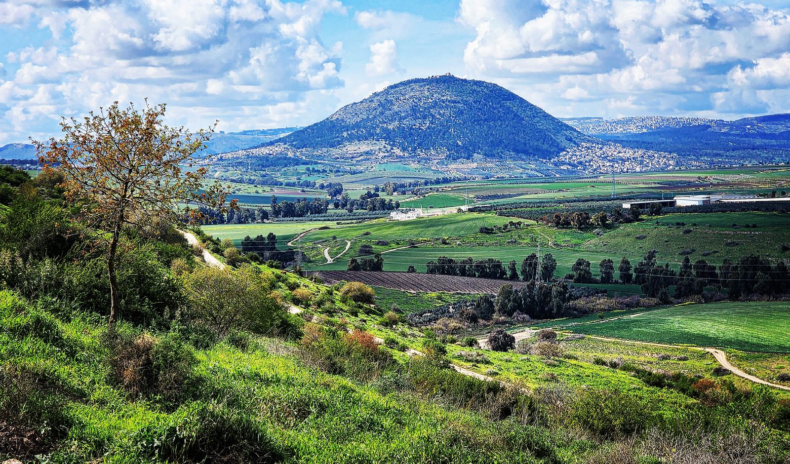 Mount Tabor rising above the Jezreel Valley