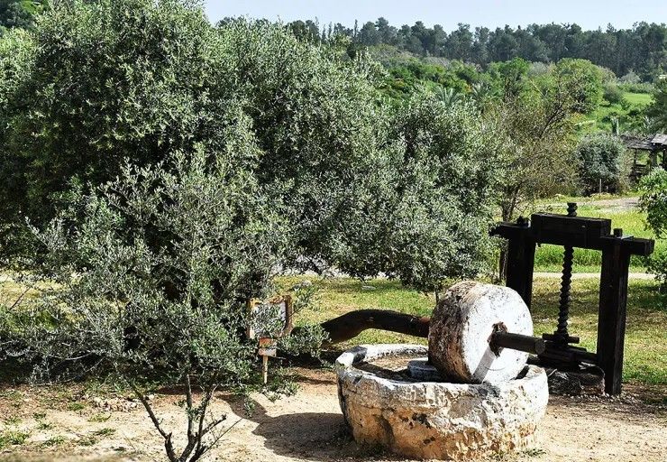 Neot Kedumim biblical landscape reserve, Israel