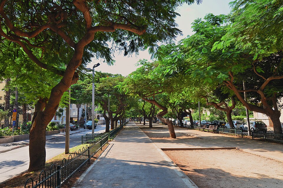 The tree-lined central promenade of Rothschild Boulevard in Tel Aviv