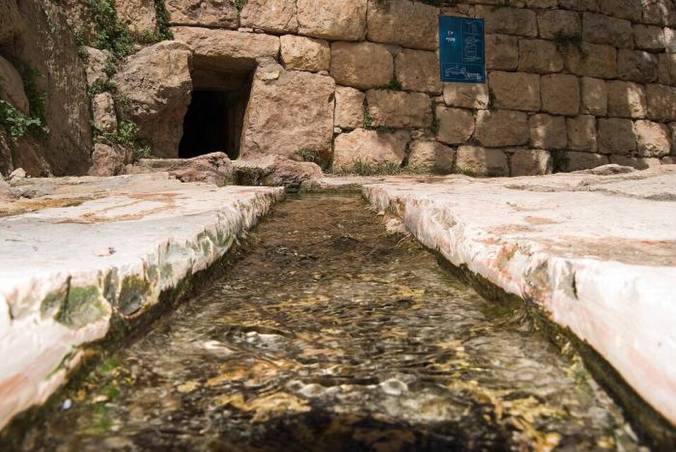 Spring at Sataf, Jerusalem Hills