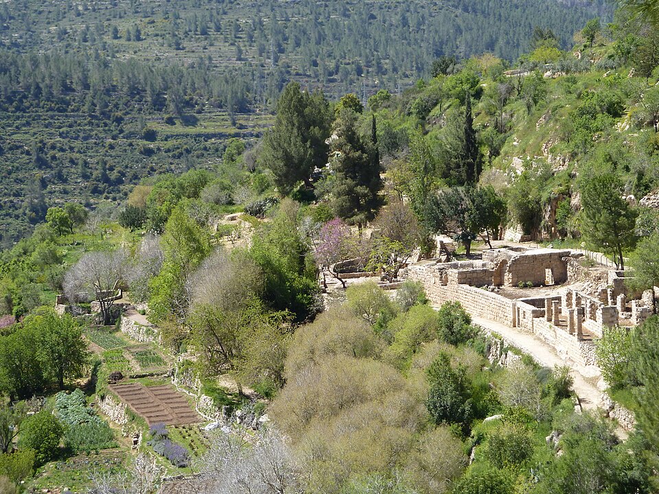 Sataf ancient agricultural terraces, Jerusalem Hills