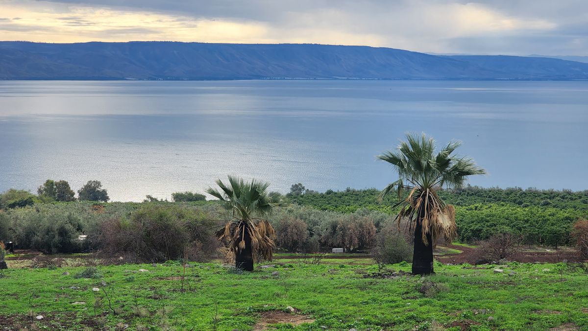 The shore of the Sea of Galilee, Israel