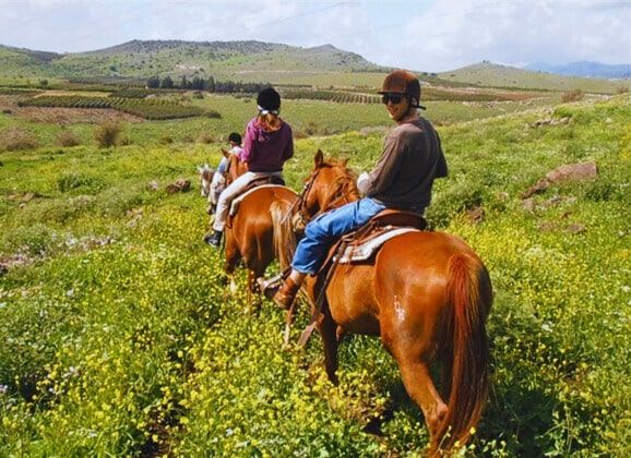 Horseback riding in the Galilee, Israel