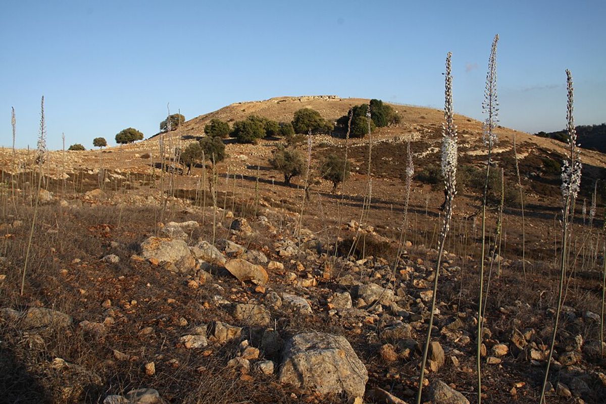 The hilltop of ancient Yodfat (Jotapata) in the Lower Galilee